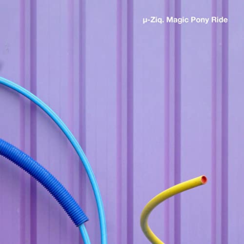 Magic Pony Ride (Purple) von Planet Mu Records