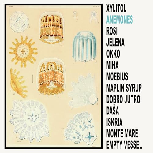 Anemones [Vinyl LP] von Planet Mu