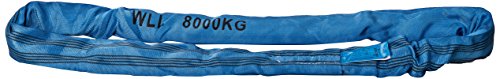 PLANETA B00805 Rundschlingen nach DIN EN 1492-2 mit Doppeltem Schutzschlauch, Polyester, 8 kg Tragfähigkeit, 5 m Umfanglänge, Blau von PLANETA