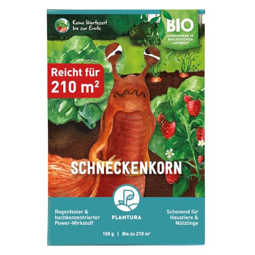 Plantura Bio-Schneckenkorn, regenfester Power-Wirkstoff, hochwirksame Schneckenbekämpfung an Obst Gemüse & Zierpflanzen, schonend für Haustiere, Vorteilspack: 150 g für 210 m² Plantura Bio-Schneckenkorn, regenfester Power-Wirkstoff, hochwirksame Schneckenbekämpfung an Obst Gemüse & Zierpflanzen, schonend für Haustiere, Vorteilspack: 150 g für 210 m² von Plantura