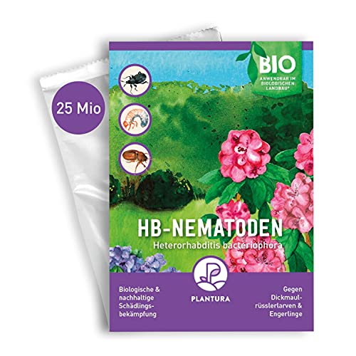 Plantura HB-Nematoden gegen Dickmaulrüssler & Engerlinge, Nützlinge, 25 Mio für 50 m² Insekten von Plantura
