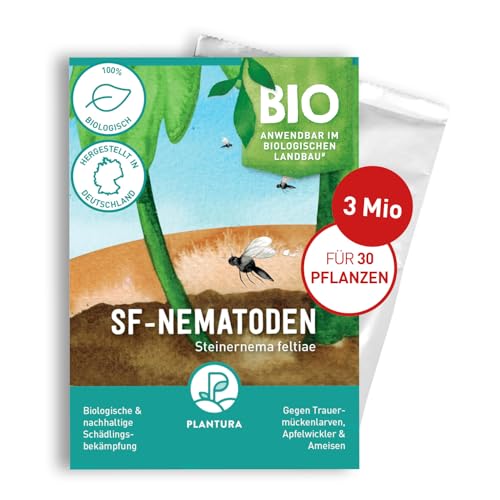 Plantura SF-Nematoden gegen Trauermücken, zum Gießen, hochwirksam & biologisch, Nützlinge aus Deutschland, 3 Mio für 3 m²/ ca. 30 Pflanzen Plantura SF-Nematoden gegen Trauermücken, zum Gießen, hochwirksam & biologisch, Nützlinge aus Deutschland, 3 Mio für 3 m²/ ca. 30 Pflanzen von Plantura
