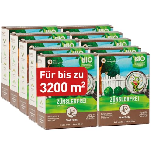 Plantura Zünslerfrei XenTari® Raupenfrei Mittel gegen Buchsbaumzünsler, hochwirksames & biologisches Spritzmittel, 160 g für 3200 m² von Plantura