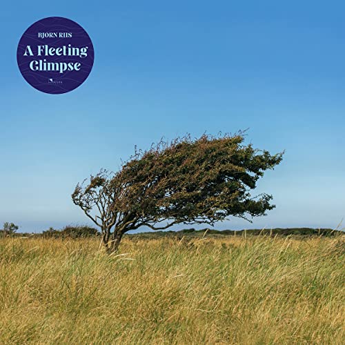 A Fleeting Glimpse (Lim. Transparent Blue Vinyl) [Vinyl LP] von Plastic Head (Soulfood)