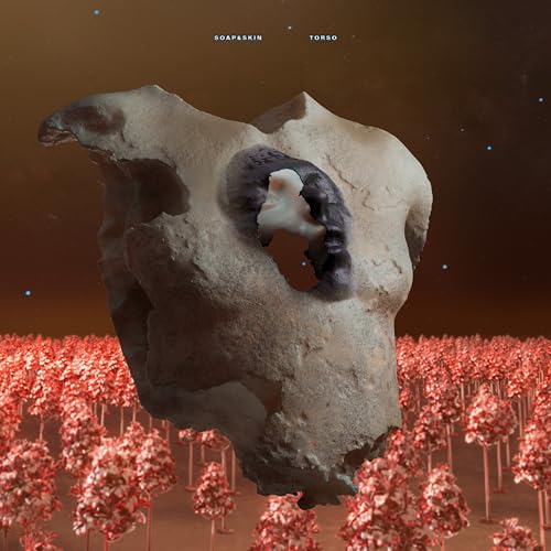 Torso (2lp) [Vinyl LP] von Play It Again Sam