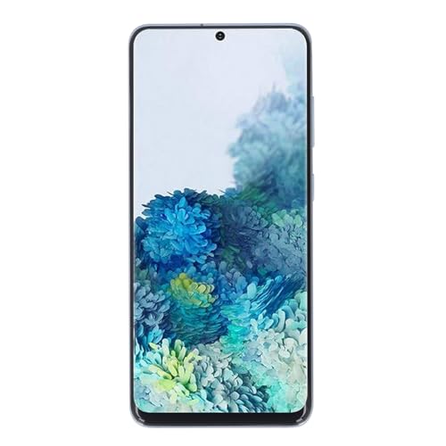 Plyisty Der Ersatz für den Bildschirm des Telefons für 4G, 6,2 Zoll Telefon Touchscreen Anzeige Digitizer -Montage mit Frame (Blue) von Plyisty