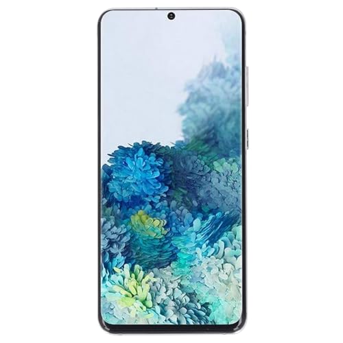 Plyisty Der Ersatz für den Bildschirm des Telefons für 4G, 6,2 Zoll Telefon Touchscreen Anzeige Digitizer -Montage mit Frame (Silver) von Plyisty