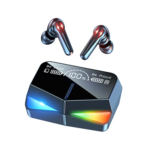 Plyisty Kabellose Bluetooth-Ohrhörer, True Wireless In-Ear-Ohrhörer Bluetooth 5.1-Kopfhörer, mit 2000-mAh-Ladekoffer, Batterieanzeige, Stereo-Sound, Spiegelbildschirm(Schwarz) von Plyisty
