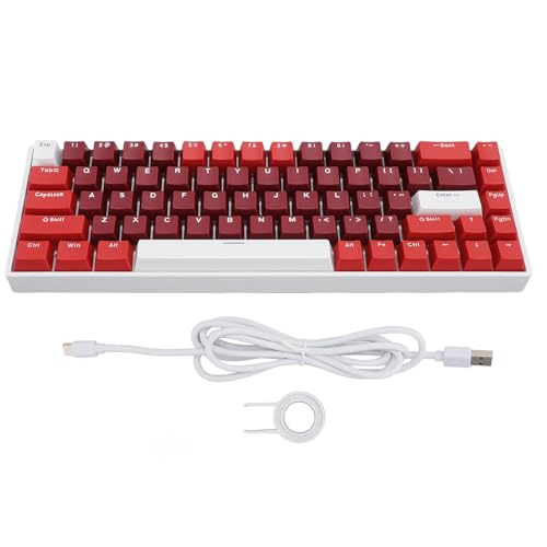Plyisty Kabellose RGB-Gaming-Tastatur, 68 Tasten, Mechanische Tastatur mit Blauer Achse, Tri-Modus BT5.0 2,4 GHz USB C, Volltasten-Anti-Ghosting, 3000-mAh-Lithium-Akku von Plyisty