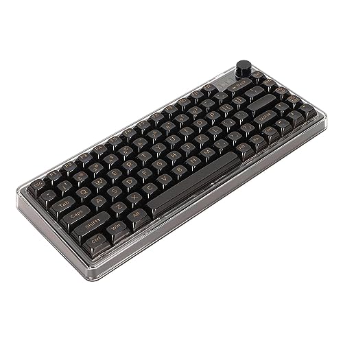 Plyisty Mechanische Gaming-Tastatur, Tastatur mit Dichtungsmontage, Transparenter Tastenkappe, RGB-Beleuchtung, Bluetooth 5.0, 2,4 GHz und Typ-C-Verbindung (Schwarz) von Plyisty