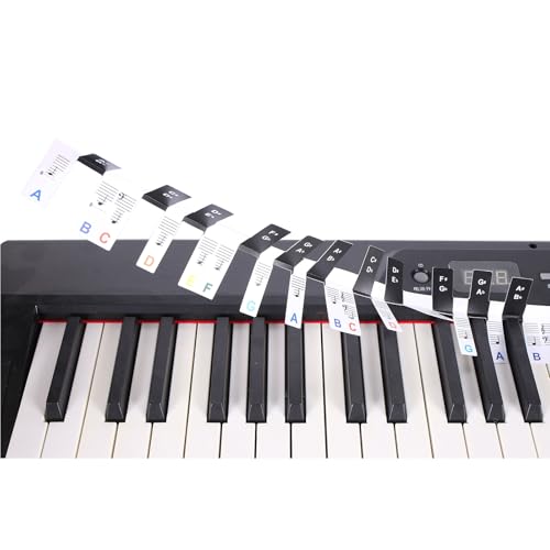 Klavier Tastaturaufkleber Elektronischer Klavier Tastatur Aufkleber Aufkleber Abnehmbare Notizbezeichnungen Für Anfänger Lernen Klavier Lernen Klavier Tastaturaufkleber Elektronischer Klavier Tastatur Aufkleber Aufkleber Abnehmbare Notizbezeichnungen Für Anfänger Lernen Klavier Lernen von Pocoiau