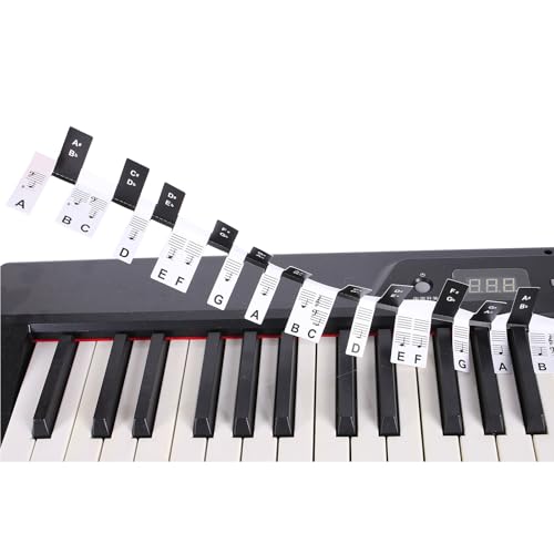 Klavier Tastaturaufkleber Elektronischer Klavier Tastatur Aufkleber Aufkleber Abnehmbare Notizbezeichnungen Für Anfänger Lernen Klavier Lernen Klavier Tastaturaufkleber Elektronischer Klavier Tastatur Aufkleber Aufkleber Abnehmbare Notizbezeichnungen Für Anfänger Lernen Klavier Lernen von Pocoiau