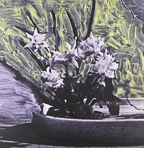 White Walls [Vinyl LP] von Poison City Records