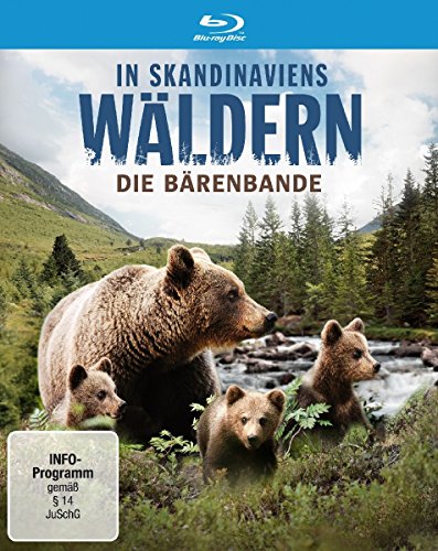 In Skandinaviens Wäldern - Die Bärenbande [Blu-ray] von Polyband/WVG