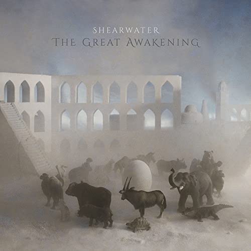The Great Awakening [Vinyl LP] von VINYL