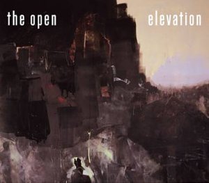 Elevation [Vinyl Single] von Polydor