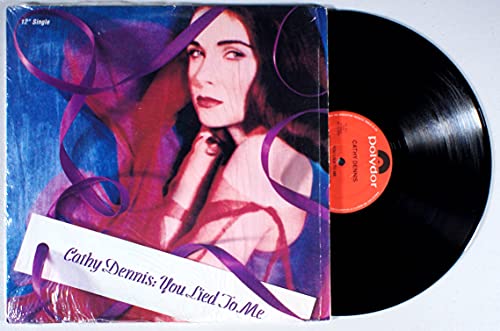 You Lied to Me [Vinyl LP] von Polygram Records