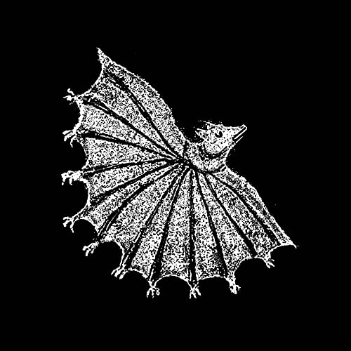 Ignore Grief (Silver Ghost Vinyl Lp+Dl) [Vinyl LP] von Polyvinyl
