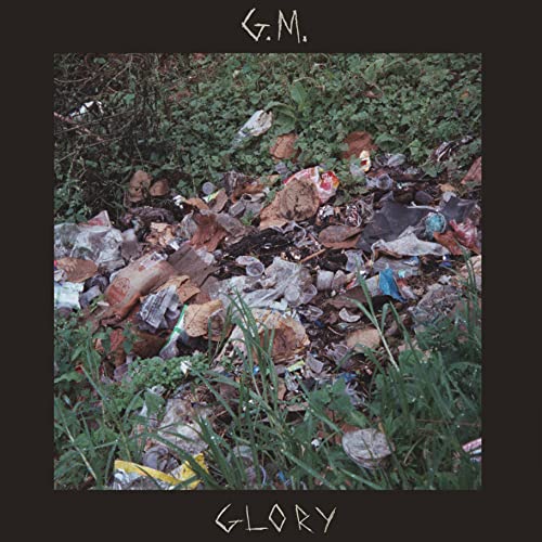 GLORY (BROWN VINYL) [VINYL] [Vinyl LP] von Polyvinyl Records