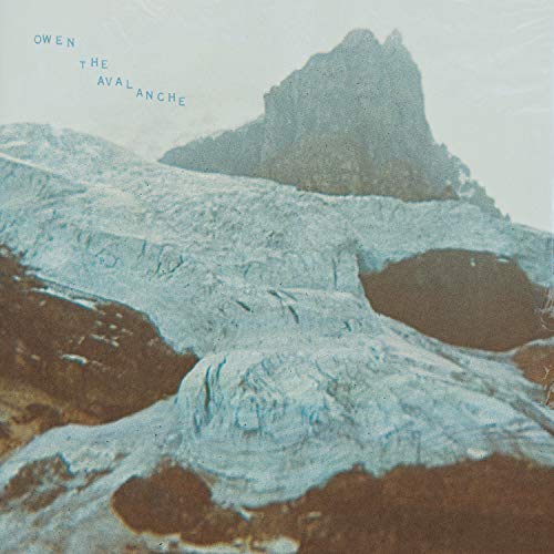 The Avalanche [Musikkassette] von Polyvinyl Records