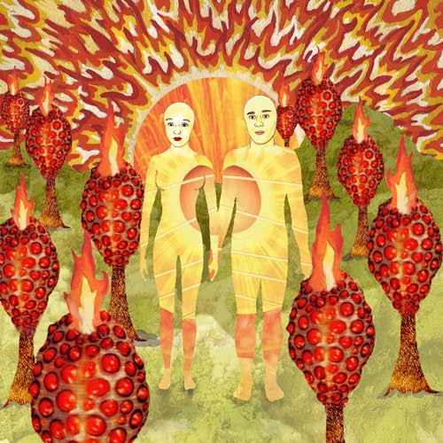 The Sunlandic Twins (Orange+Red Swirl Lp+Bonus-Ep) [Vinyl LP] von Polyvinyl Records