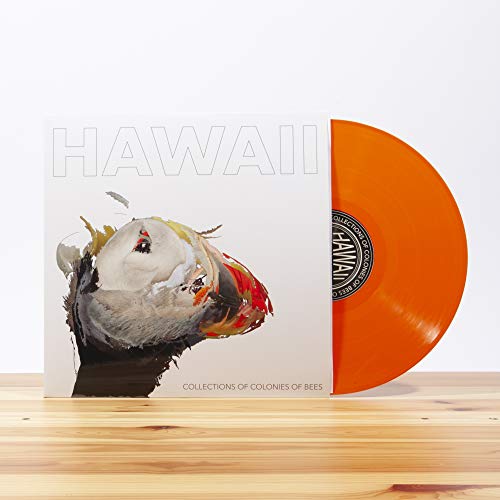 Hawaii von Polyvinyl