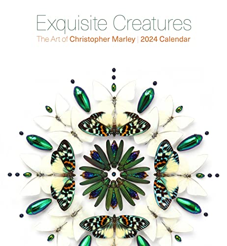 Exquisite Creatures: The Art of Christopher Marley 2024 Wall Calendar von Pomegranate