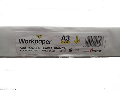 Risma Fotokopierpapier A3 (42 x 29,7 cm) - 500 Blatt für Kopierer, Laserdrucker und Inkjet von Pool Over
