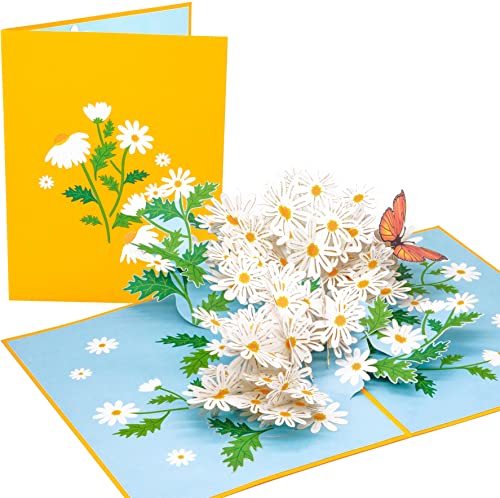 PopLife Daisy Flowers Pop Up Muttertagskarte – 3D Jubiläum, Pop Up Geburtstagskarte, Dankeschön, Glückwunsch, Valentinstag – für Mutter, Tochter, Ehefrau, Oma, für Stiefmama von PopLife