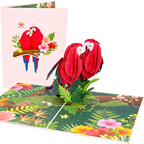 PopLife Papagei Love Birds 3D Pop-Up-Karte für alle Anlässe – Valentinstag, Jahrestag, Muttertag, Geburtstag Grußkarte, Weihnachten – Hochzeit, Liebe, einfach so, Dankeschön – für Frau, Papa, Opa von PopLife