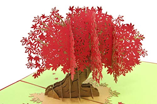 PopLife rote japanische Ahornbaum 3D Pop Up Muttertagskarte - Jahrestag Pop Up Geburtstagskarte, Glückwunsch - Geschenk für sie - Flach gefaltet - für Mutter, Tochter, Ehefrau, Vater, Ehemann von PopLife