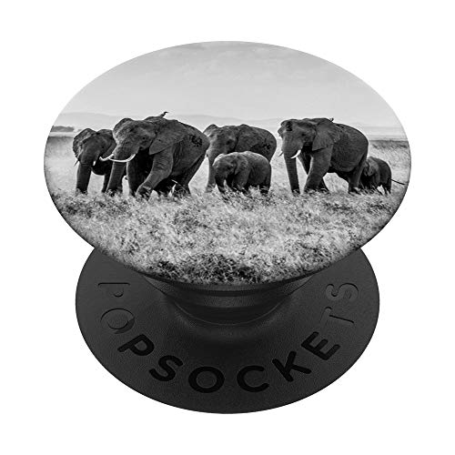 PopSockets Elefanten PopSockets mit austauschbarem PopGrip von CJ Grips