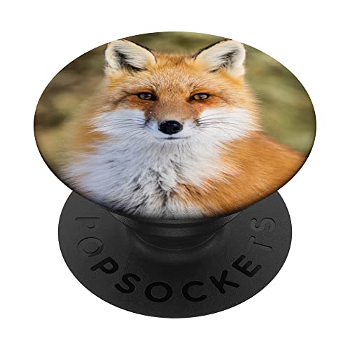 PopSockets Fuchs PopSockets PopGrip: Ausziehbarer Sockel und Griff für Handys/Tablets mit Tauschbarem Top PopSockets Fuchs PopSockets PopGrip: Ausziehbarer Sockel und Griff für Handys/Tablets mit Tauschbarem Top von CJ Grips