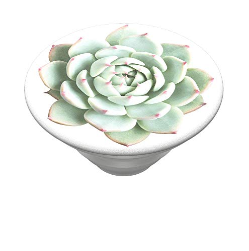 PopSockets PopTop - Austauschbaren Top für Deinen Austauschbaren PopGrip - You Succulent von PopSockets