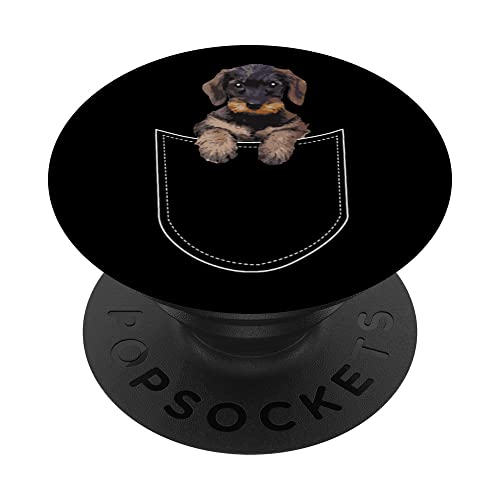 PopSockets Rauhaardackel Teckel Dachshund in der Vordertasche Brust PopSockets mit austauschbarem PopGrip von PopSockets