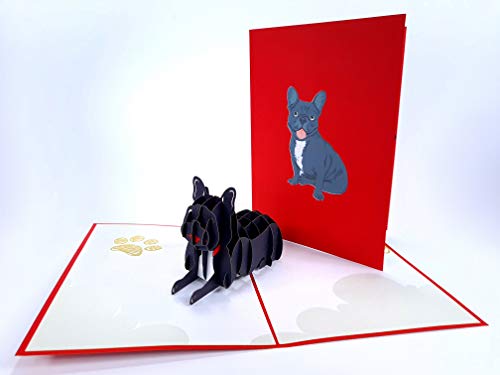 Französische Bulldogge Hund Tier 3D Pop Up Grußkarten Jahrestag Baby Geburtstag Ostern Halloween Muttertag Vatertag Neujahr Erntedankfest Valentinstag Hochzeit Weihnachten von PopUp-Cards