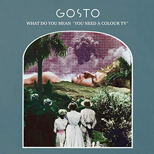 What Do You Mean 'You Need a Color TV' (Black Lp) [Vinyl LP] von Popup-Records (Soulfood)