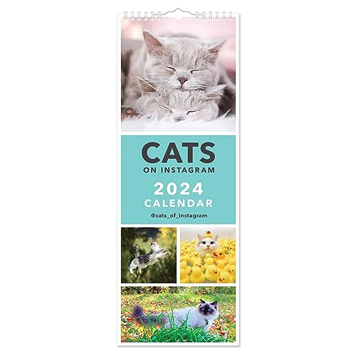 2024 Cats on Instagram Slim Kalender von Portico Designs Ltd