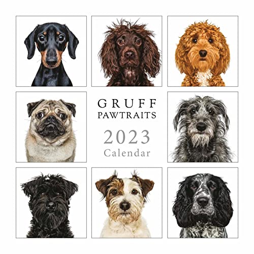 Wandkalender 2023 von Portico Designs (Gruff Pawtraits quadratischer Kalender) von Portico Designs