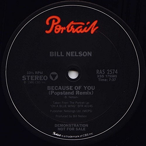 Because Of You [Vinyl Single 12''] von Portrait