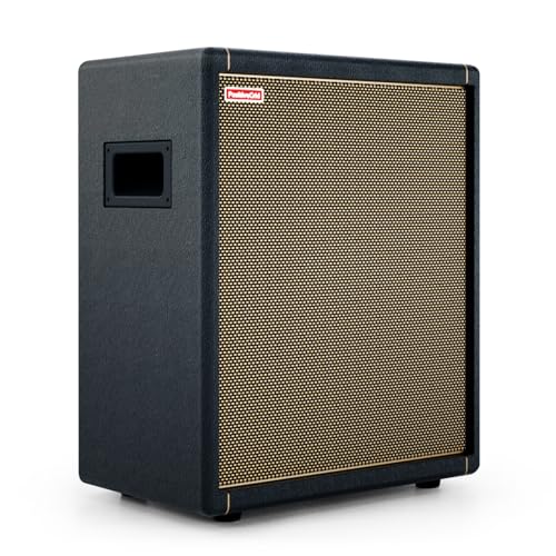 Positive Grid Spark CAB Gitarrenverstärker-Lautsprecherbox für Verstärker der Spark-Serie, Mehrere Instrumente, Modeler und Mehr von Positive Grid
