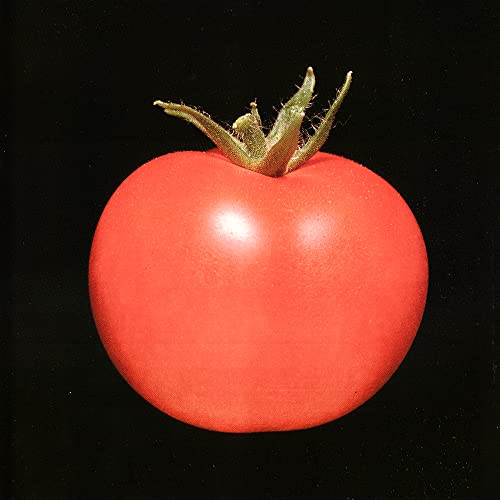 Chronophage [Vinyl LP] von Post Present Medium