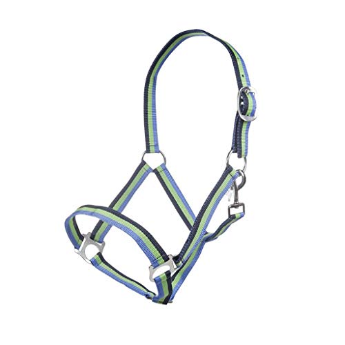 Posten Perth Halfter apfelgrün/navy Pony von Posten