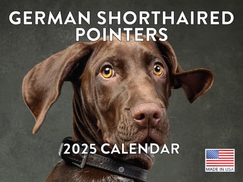 Deutsch Kurzhaar-Kalender 2025 GSP Monatlicher Wandkalender 12 Monate | Hergestellt in den USA von Poster Foundry
