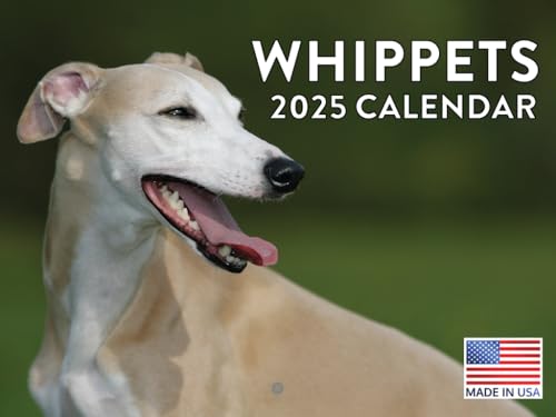 Whippet Dog Breed Kalender 2025 von Poster Foundry