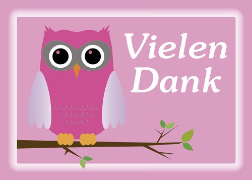 10 Postkarten Eule pink "Vielen Dank" 1106-10 von Postkarten-Style