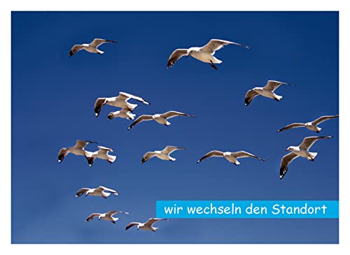 10 Postkarten "Wir wechseln den Standort" Möven am blauen Himmel 1206-10 von Postkarten-Style