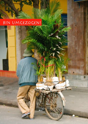 10 Postkarten "bin umgezogen" Umzug - Mann mit Pflanzen auf altem Fahrrad 1502 von Postkarten-Style
