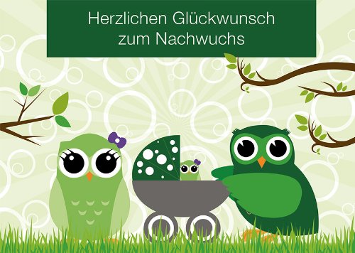 2 Postkarten Eulen mit Kinderwagen "Herzlichen Glückwunsch zum Nachwuchs" 1131 von Postkarten-Style