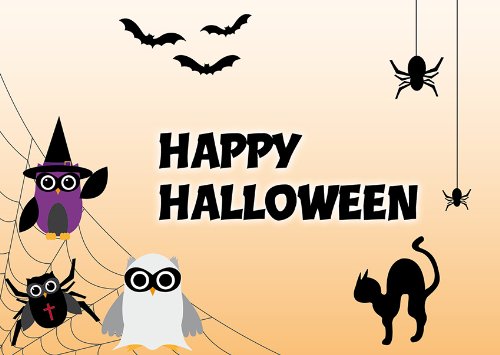 2 Postkarten Spider-Eulen "Happy Halloween" 1302 von Postkarten-Style